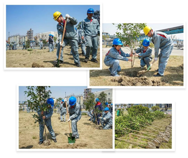 AG�����ܲ��������޹�˾|��ҳ